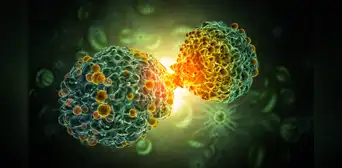 Científicos descubren cómo el cáncer de páncreas reescribe su ADN para evadir los tratamientos