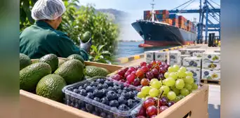 Agroexportaciones superan los US$8.300 millones, pero crecen 2,3%: tres frutas lideran los envíos Agroexportaciones superan los US$8.300 millones, pero crecen 2,3%: tres frutas lideran los envíos