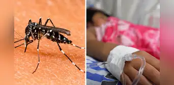 Niña de 4 años muere por dengue en La Libertad: región acumula más de 10.000 casos y 5 fallecidos