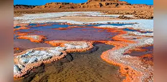Uno de los lugares más calientes del mundo alberga vida: así es el desierto patrimonio de la humanidad cuyo suelo superó los 80 °C
