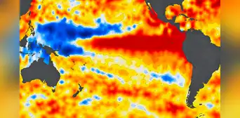 La NASA capta un Pacífico más azul por El Niño: la caída del fitoplancton podría afectar a toda la cadena alimentaria marina