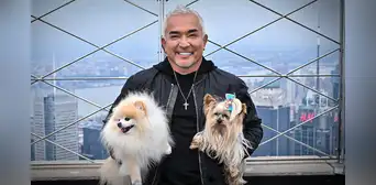 César Millán, el 'encantador de perros': “Lo que sientes se convierte en tu energía, y eso es lo único que tu perro sabe de ti” César Millán, el 'encantador de perros': “Lo que sientes se convierte en tu energía, y eso es lo único que tu perro sabe de ti”