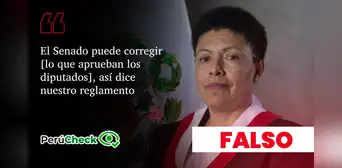 Moyano dijo que el Senado puede “agregar” puntos a lo que aprueba Diputados, pero el reglamento dice lo contrario