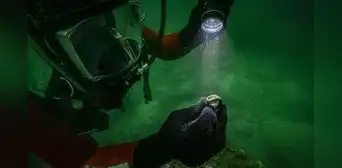 El primer anillo con sello que muestra al faro de Alejandría descubierto en un puerto antiguo sumergido de Egipto