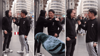 Español bromeó con la idea de que los peruanos comen palomas y generó incomodidad en redes sociales. Foto: composición LOL / TikTok