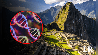 Estudios revelan algo impactante en Machu Picchu. Foto: Wikipedia/Infosalus