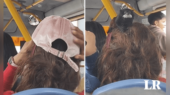 ¡Irresponsable! Mujer viaja con mono en su cabeza. La grabaron en combi. Foto: composición LR/TikTok/@dieqotuun