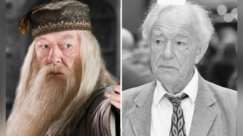 Michael John Gambon fue un actor irlandés-británico de teatro, televisión y cine.  Foto:  IMDb