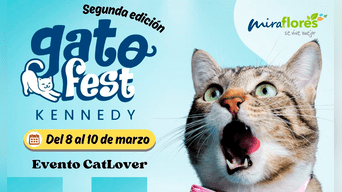 La segunda edición del ‘GatoFest’ contará con diversas actividades para involucrar a la comunidad y recaudar fondos. Foto: difusión