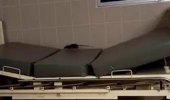 Rata pasea sobre camilla y se sube a jarra de agua usada por pacientes en área de dengue de hospital EsSalud en Piura