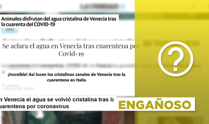 Publicaciones sobre aparición de animales en canales de Venecia son engañosas