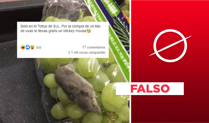 No, foto del “ratón” en un paquete de uvas no fue tomada en Tottus