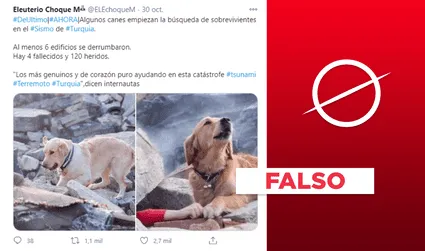 No, la foto del “perrito rescatista” no es del terremoto en Turquía