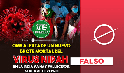 Es falso que ha aparecido un “nuevo virus Nipah" más letal que la COVID-19