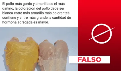 Es falso que el “pollo amarillo” sea dañino y tenga hormonas
