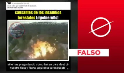 No, video viral no corresponde a un incendio forestal “causado por los gobiernos”