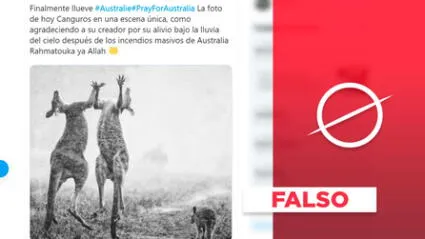 Es falso que foto de canguros se tomó durante los actuales incendios en Australia