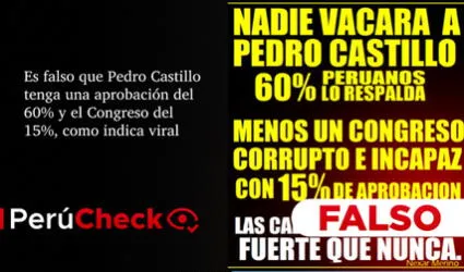 Es falso que Pedro Castillo tenga una aprobación del 60% y el Congreso del 15%, como indica viral