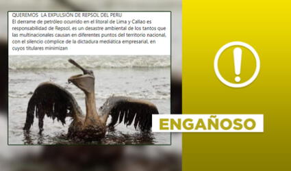 No, foto de ave empetrolada no corresponde a ningún derrame de crudo en Perú