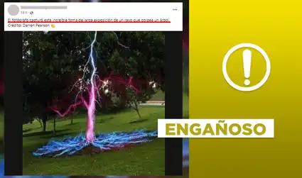 No, imagen no presenta toma de larga exposición de rayo golpeando un árbol