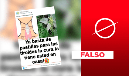 Es falso que las semillas de culantro curen los problemas tiroideos en “unos cuantos días”