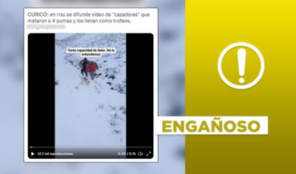 No, video de caza ilegal de pumas no se registró en Curicó, Chile