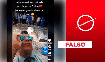 No, "sirena varada" en China no fue captada en video: se trata de una ballena