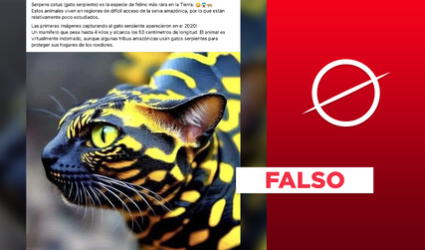 No es cierto que exista una especie llamada "gato serpiente": la imagen es falsa