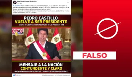 No, la ONU y la OEA no han publicado que la vacancia de Pedro Castillo es "nula"