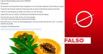 El dengue no se cura con el consumo de hojas de papaya