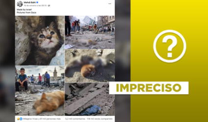 Posteo viral de animales heridos tras bombardeos en Gaza incluye fotos fuera de contexto