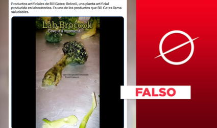 No, este video no muestra un "brócoli artificial" producido por Bill Gates