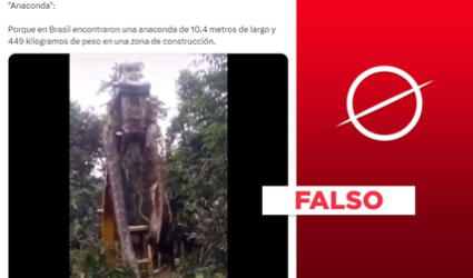 Escena de serpiente gigante no es de 2024 ni fue captada en Brasil