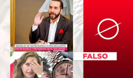 Nayib Bukele no difundió mensaje contra Dina Boluarte sobre el caso Rolex: video es falso