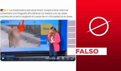 Presentadora de Orient no llora ante foto de perro con niño palestino: es un montaje