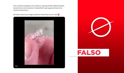 Este insecto no es un "mutante" que Bill Gates creó para parasitar a los humanos: es un crustáceo marino