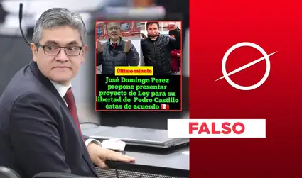 El fiscal José Domingo Pérez no hizo un proyecto ley para liberar a Pedro Castillo