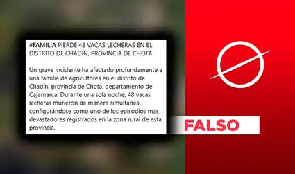 Noticia de mortandad de 48 vacas lecheras en Cajamarca es falsa: SENASA lo confirma