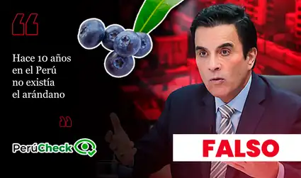 ¿Hace diez años no existían los arándanos? Es falso lo que dijo el candidato Carlos Espá