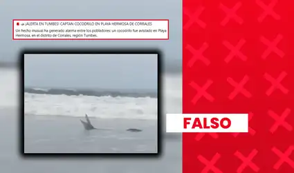 Video viral de cocodrilo "captado en playa de Tumbes" no es actual: circula desde el 2017 en medios locales de Costa Rica