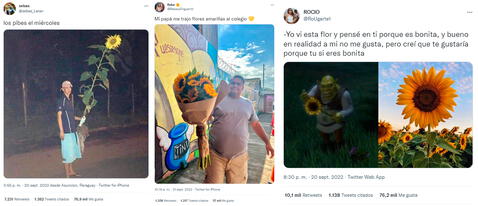  ¿De qué trata la tendencia de los girasoles y las flores amarillas?