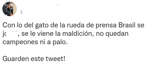 Usuarios indignados por cómo sacaron a un gato de la conferencia de prensa de Brasil: 