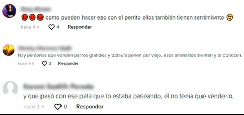 TikTok: hombre genera indignación tras vender perro extraviado que se perdió en Churin