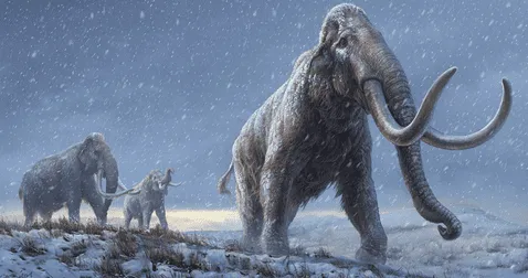 <em> Ilustración de una reconstrucción de los mamuts esteparios que precedieron al mamut lanudo. Foto: EFE/Beth Zaiken/Centro de Paleogenética</em>   