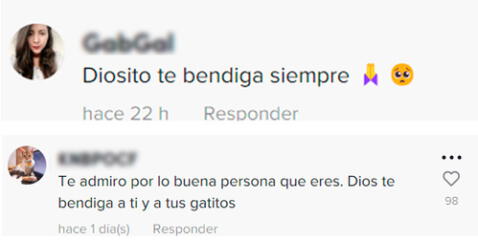 TikTok: Joven conmovió a usuarios tras adoptar a mamá gata con sus recién nacidos