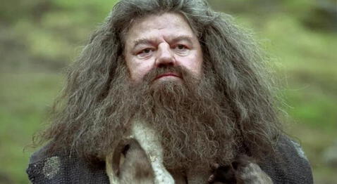 Hagrid, de Harry Potter, falleció y los usuarios lo despiden haciéndolo tendencia