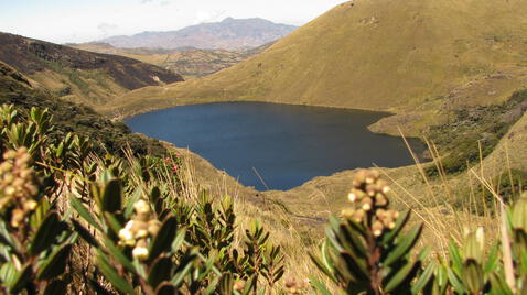 Huaringa proviene de la palabra aymara que significa Huari o líquido espeso. Foto: archivo del Instituto de Montaña