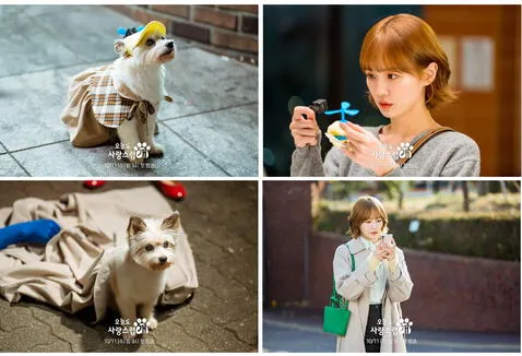  Park Gyu Young se transforma en una adorable perrita en 'A Good Day To Be A Dog'. Foto: MBC<br><br>    