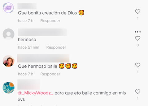 <em>Usuarios reaccionan a video viral. Foto: captura de TikTok</em>   