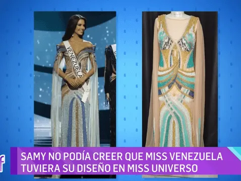 Amanda Dudamel's dress would have been plagiarized, according to the designer.  Photo: Univision.